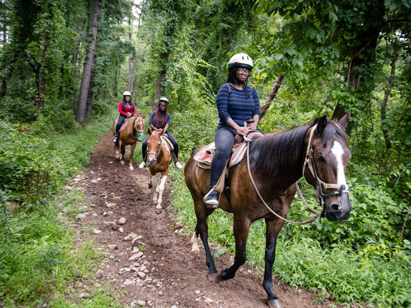 Mountain Creek Riding Stable