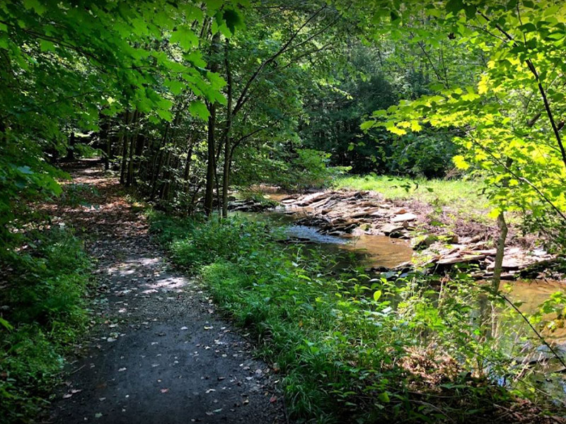 Sugar Run Creek Trail 